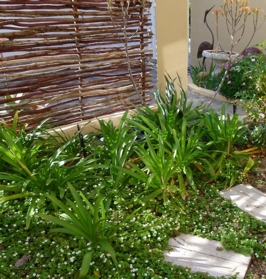 מונטאגו Anchorage Inn Guesthouse מראה חיצוני תמונה